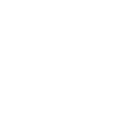 icon-opti