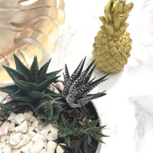 Image Ananas Impérial